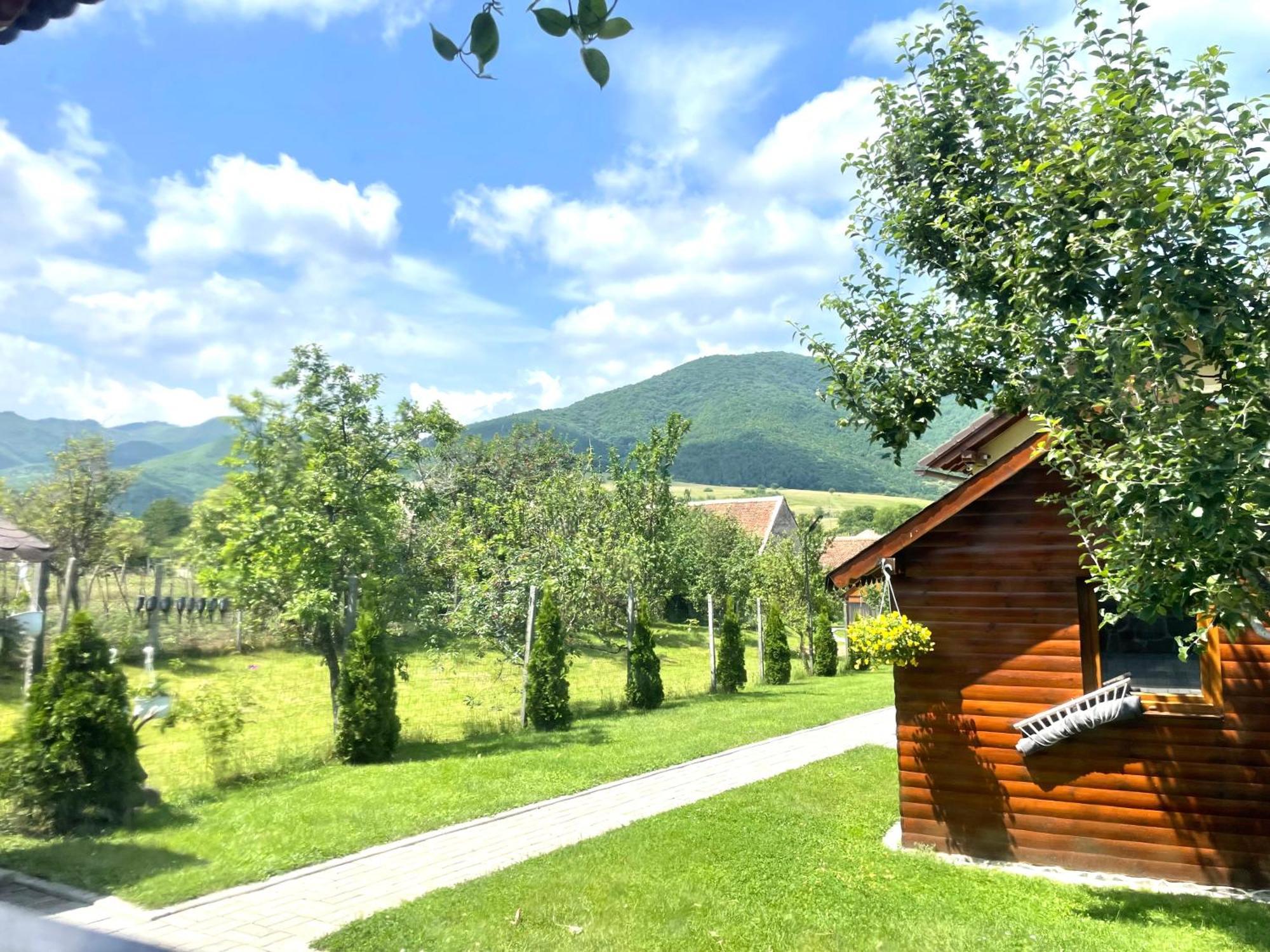 Casa De Vacanta Orlat Exteriör bild
